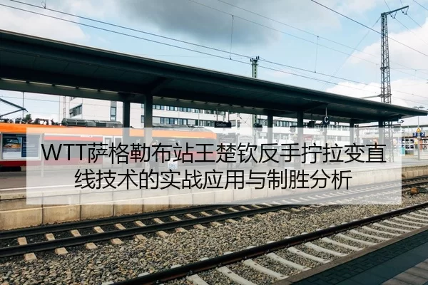 sa-ge-lei-bu-zhan-wang-chu-qin-fan-shou-ning-la-bian-zhi-xian-ji-shu-de-shi-zhan-ying-yong-yu-zhi-sheng-fen-xi-2-939.jpg